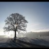 20071222_027